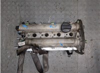  Головка блока (ГБЦ) Volkswagen Golf 4 1997-2005 8885874 #1