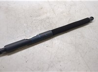 0E749748203 Амортизатор крышки багажника BMW X3 G01 2017-2021 8887908 #4
