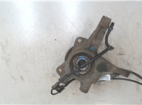 517162E100, 517503A003 Ступица (кулак, цапфа) Hyundai Tucson 1 2004-2009 8906986 #3