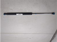 6896009100, 6895009150 Амортизатор крышки багажника Toyota Avensis 2 2003-2008 8908012 #4