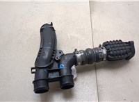 9804177580 Патрубок интеркулера Citroen C4 2020-2025 8909099 #7