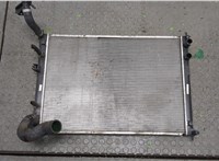  Радиатор охлаждения двигателя Subaru Tribeca (B9) 2007-2014 8916915 #1