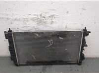  Радиатор охлаждения двигателя Chevrolet Cruze 2009-2015 8930506 #5