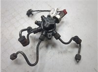 1445928, 4M5Q9D280DB Рампа (рейка) топливная Ford Transit (Tourneo) Connect 2002-2013 8948005 #4