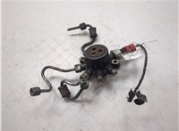 1445928, 4M5Q9D280DB Рампа (рейка) топливная Ford Transit (Tourneo) Connect 2002-2013 8948005 #7