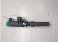 224332597R, 216031219 Катушка зажигания Renault Modus 8950871 #4