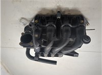 036129711DR Коллектор впускной Volkswagen Golf 4 1997-2005 8951841 #6