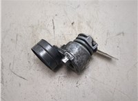 8200905328 Натяжитель приводного ремня Renault Scenic 2003-2009 8952096 #5