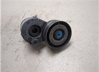 8200905328 Натяжитель приводного ремня Renault Scenic 2003-2009 8952096 #6