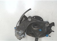 1K0407621F, 3C0407253F Ступица (кулак, цапфа) Volkswagen Passat 6 2005-2010 8956592 #5