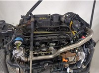  Двигатель (ДВС) Ford Fiesta 2001-2007 8966747 #6