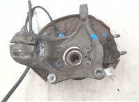 3C0407254F, 1K0407621F Ступица (кулак, цапфа) Volkswagen Passat 6 2005-2010 8971129 #3