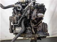  Двигатель (ДВС на разборку) Nissan Navara 2005-2015 8972042 #4