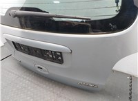  Крышка (дверь) багажника Renault Scenic 1996-2002 8978201 #10
