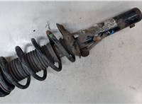 5N0411105S, 5N0413031AL Амортизатор подвески Volkswagen Tiguan 2011-2016 8984968 #4