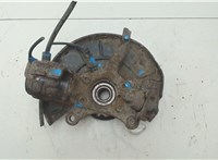 1K0407256AA, 1K0407621F Ступица (кулак, цапфа) Volkswagen Touran 2003-2006 8986091 #4