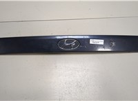 8731005510 Накладка под номер (бленда) Hyundai Atos (Amica) 2003-2008 8994948 #1