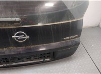  Крышка (дверь) багажника Opel Signum 8995527 #3