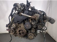  Двигатель (ДВС) Nissan Navara 2005-2015 9010648 #1