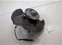 31226757024, 31211096429, 6757024, 1096429 Ступица (кулак, цапфа) BMW 3 E46 1998-2005 9011014 #6