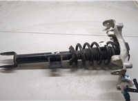 CFY21173, 104436400G, 104437100D Амортизатор подвески Tesla Model 3 9015009 #3