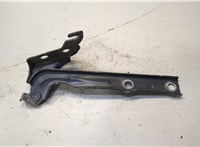  Петля капота Volkswagen Tiguan 2011-2016 9017001 #1