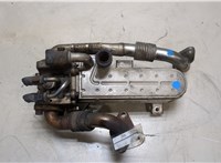  Охладитель отработанных газов Volkswagen Touran 2003-2006 9018552 #1