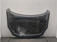 1160013, 13248744, 13276949 Капот Opel Insignia 2008-2013 9021252 #6