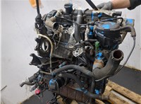 0135AN Двигатель (ДВС) Citroen Berlingo 2002-2008 9024701 #5