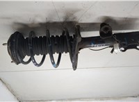 4851080796, 4813142700 Амортизатор подвески Toyota RAV 4 2015-2019 9043134 #5