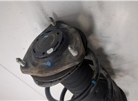 4851080796, 4813142700 Амортизатор подвески Toyota RAV 4 2015-2019 9043134 #6