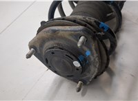 4852080472, 4813142700 Амортизатор подвески Toyota RAV 4 2015-2019 9043137 #6