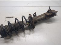 C1BC18045BD Амортизатор подвески Ford Fiesta 2012-2019 9046249 #6