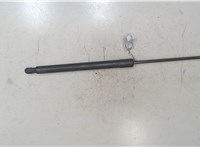 A1699800864 Амортизатор крышки багажника Mercedes B W245 2005-2012 9066550 #4