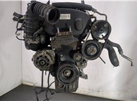 55567108 Двигатель (ДВС) Chevrolet Aveo (T250 / 255) 2008-2011 9071836 #1