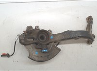 4A0498625, 8D0407257AL, 8E0927803A Ступица (кулак, цапфа) Audi A4 (B5) 1994-2000 9072239 #6