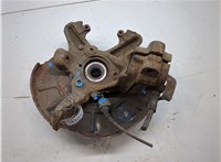 1K0407256T, 1K0498621 Ступица (кулак, цапфа) Skoda Yeti 2009-2018 9089606 #5