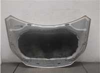  Капот Volkswagen Tiguan 2007-2011 9093888 #3