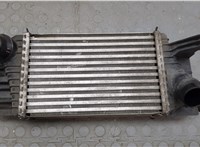  Радиатор интеркулера Nissan Juke 2014-2019 9100215 #1