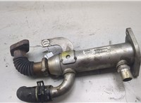  Охладитель отработанных газов Peugeot 407 9101109 #3