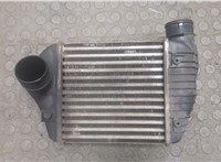  Радиатор интеркулера Audi A6 (C6) 2005-2011 9109573 #1
