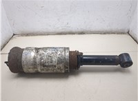 22249855 Амортизатор подвески Land Rover Range Rover Sport 2005-2013 9113167 #4
