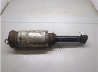 22249855 Амортизатор подвески Land Rover Range Rover Sport 2005-2013 9113167 #6