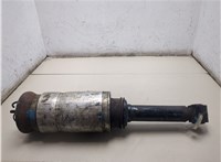 22249855 Амортизатор подвески Land Rover Range Rover Sport 2005-2013 9113167 #13