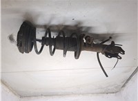 E4303EM01A, 54010EM00A Амортизатор подвески Nissan Tiida 2004-2010 9120409 #4