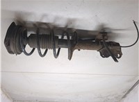 E4302EM01A, 54010EM00A Амортизатор подвески Nissan Tiida 2004-2010 9120410 #4
