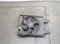  Вентилятор радиатора Renault Megane 2 2002-2009 9130085 #1