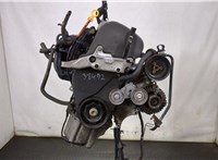  Двигатель (ДВС) Volkswagen Golf 4 1997-2005 9131133 #1
