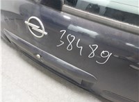  Крышка (дверь) багажника Opel Omega B 1994-2003 9131146 #10