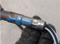 06A906265F Лямбда зонд Seat Toledo 2 1999-2004 9131963 #7